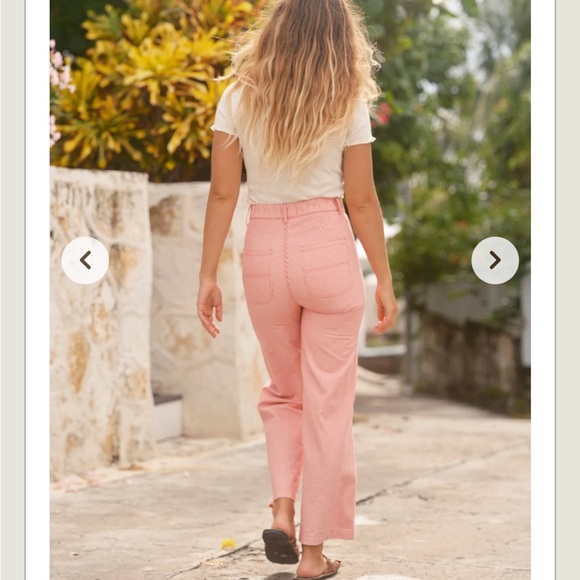 Mollusk Painter Pants pink railroad stripe - Picture 10 of 15